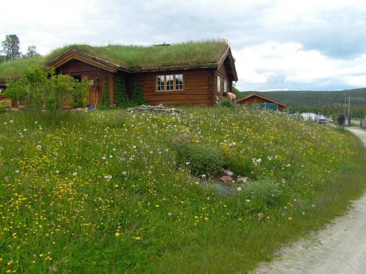 Lokken Fjellgard Villa Folldal Exterior foto